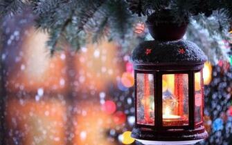 Fir Tree Branch Snow Winter Snowflakes Christmas Photo Wallpaper