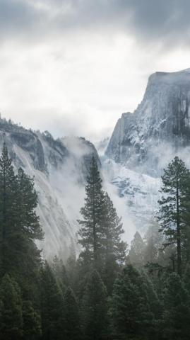 Wallpaper Yosemite 5k 4k 8k Forest Osx Apple