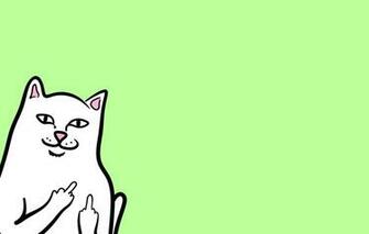Wallpaper Minimalism Cat Animal Ripndip Image For Desktop