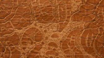 Brown Grunge Embossed Leather Texture HD X 1080p