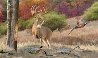 Whitetail Deer Art His Name Is Prince Print