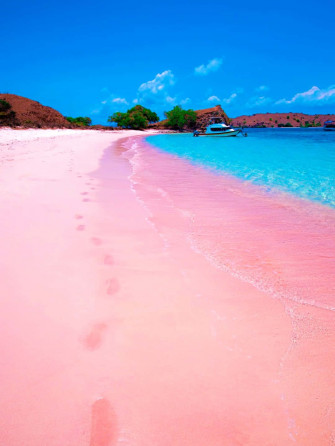 Pink Beach Wallpaper
