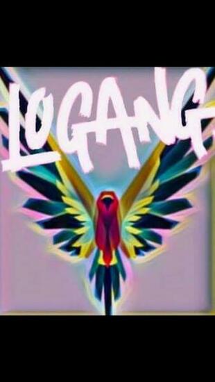 Logang Wallpaper Image Reverse Search