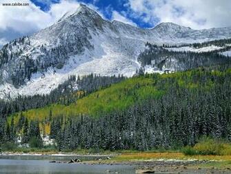 Snowonthe West Elk Range Gunnison National Forest Colorado Nature
