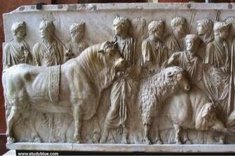 Chianina Andrea Gaddini