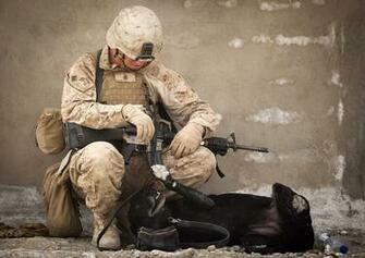 Us Marines HD Wallpaper