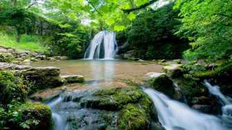 Forest Waterfalls Cascade Falls Waterfall 4k UHD Wallpaper
