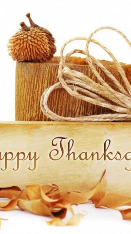 Wallpaper Thanksgiving Day Usa Canada Event Parade Turkey