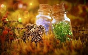 Macro HD Wallpaper Background Image