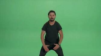 Shia Labeouf Sonic