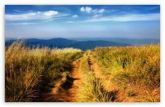 Hiking Path HD Desktop Wallpaper High Definition Fullscreen