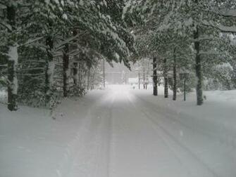 Walked About Halfway Down The Driveway To Take This One We Have A