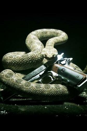 Wallpaper For iPhone Snake Gun