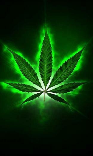 Cool Weed Leaf Background Pot