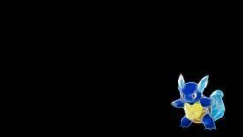 Wartortle HD Wallpaper