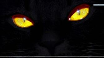 Black Cat Eyes Wallpaper