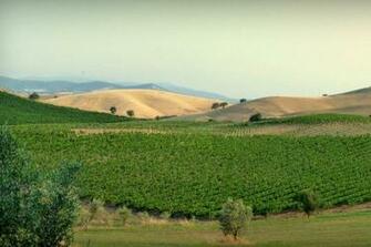 Wallpaper Italy Tuscany