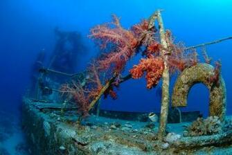 Underwater HD Wallpaper Scuba Diving Res