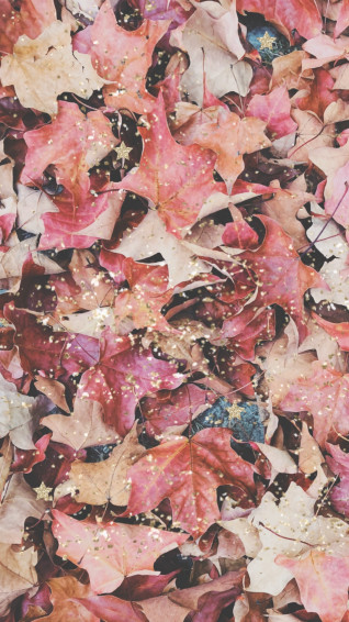 Phone Wallpaper September Edition Corrie Bromfield