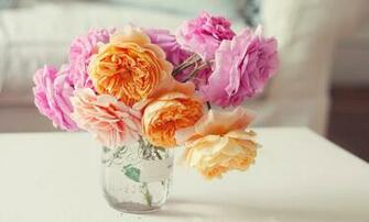 Rose Jar Glass Pink Yellow Purple Beauty Photo HD Wallpaper
