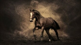 Horse Background For Your Computer