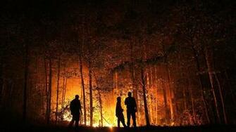 Forest Fire Wallpaper