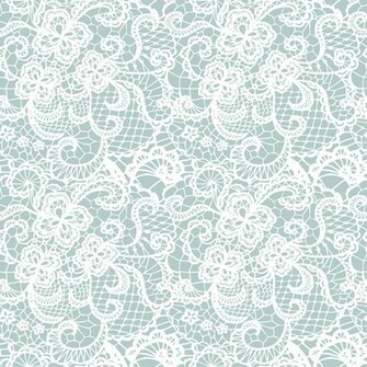 White Lace Seamless Pattern Background Vector