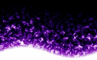 Flame Neon Lexus Purple Fractal Background Seamless