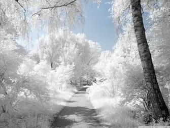 Beautiful Winter Wallpaper For Desktop