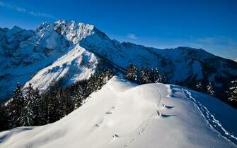 X Dual Monitor Wallpaper Top