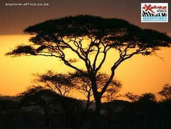 African Sunset Wallpaper Beautiful