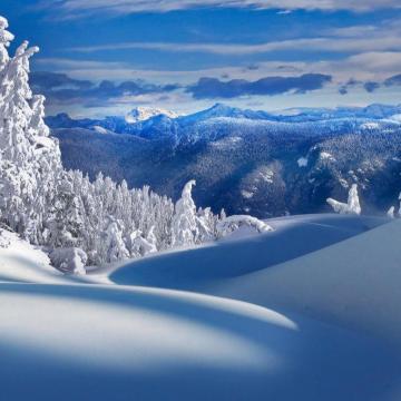 iPad Wallpaper Winter