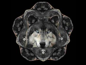 Wallpaper Vision Of The Wolf