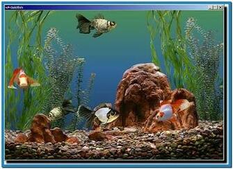 Tropical Fish Aquarium Screensaver