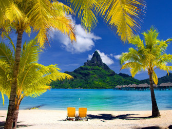 Tropical Desktop Wallpaper