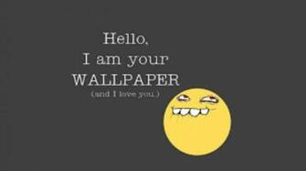 Top Funny Meme Wallpaper In Love