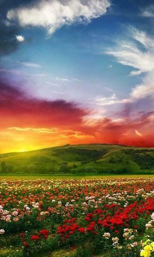 3d Best Nature Scenery Wallpaper Collection Of
