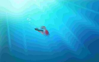 Windows Wallpaper Official Software Os