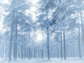 Wallpaper S Winter HD For Desktop