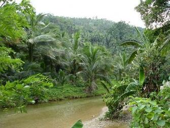 Scenery Wallpaper Waterfall And Tropical Island
