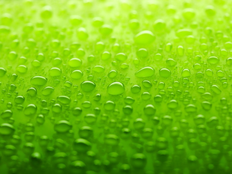 Green Wallpaper Colors