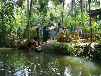 Village Life On Kerala Boat Trip Photo