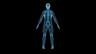 Body Wallpaper Desktop