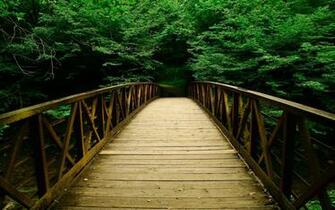 Beautiful Bridge In Green Nature Wallpaper Widescreen With