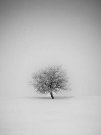 Ios And Android Wallpaper This Stylish Collection Features Over