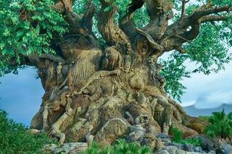 The Animal Tree Computer Wallpaper Desktop Background