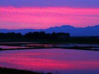 Pink Sunset Wallpaper