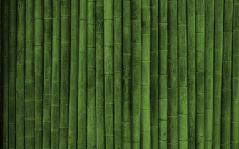 Bamboo Wall HD Wallpaper