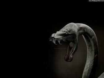 King Cobra HD Wallpaper
