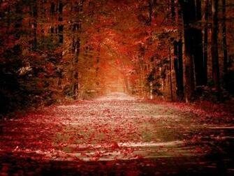 Pretty Fall Desktop Background HD Wallpaper